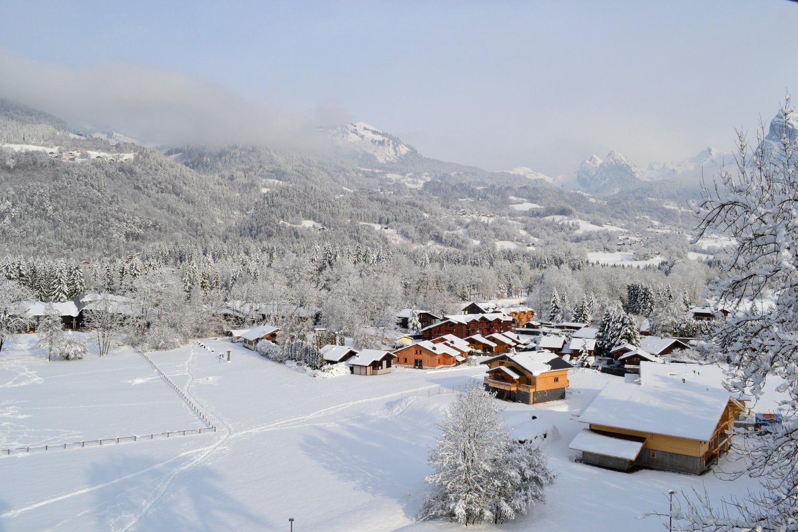 Morillon
