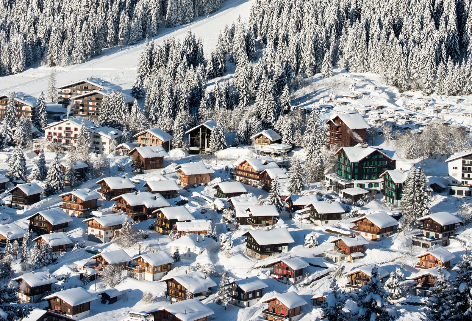 Morgins